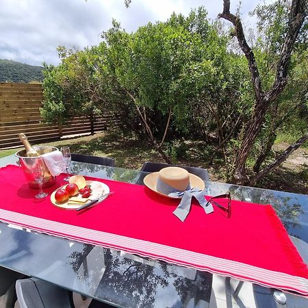 Alkantmooi Private Nature Reserve - Keurkloof & Keurbos 93 Plettenberg Bay Ngoại thất bức ảnh